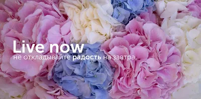 Купить Цветы в нежно розовой шляпной коробке с доставкой по Томску: цена,  фото, отзывы.