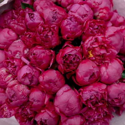 Цветы в коробке » Grace Flowers | Доставка цветов Астана