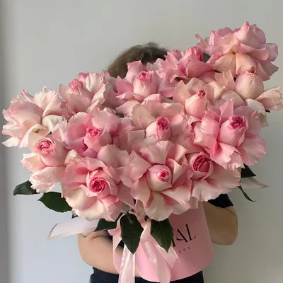 Какие цветы дарят в июне? 🌸 | Блог Семицветика