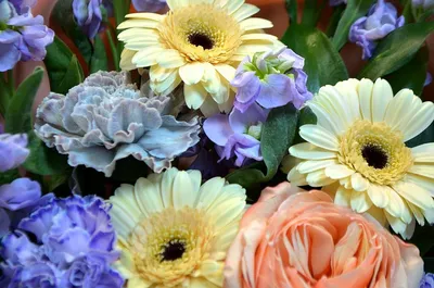 Цветы в коробке 047 - купить с доставкой в Самаре в интернет-магазине  «Букет Юг»