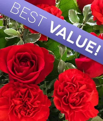 Пионовидные розы Love | купить недорого | доставка по Москве и области