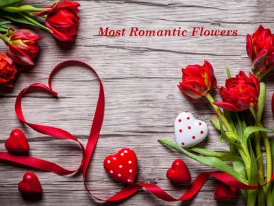 Which are the most Romantic Flowers for Loved Ones? | by flower hills |  Medium
