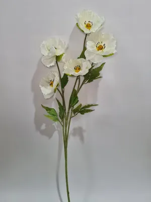 ᐉ Картина модульная Цветы Маки (Art-139_XXL)