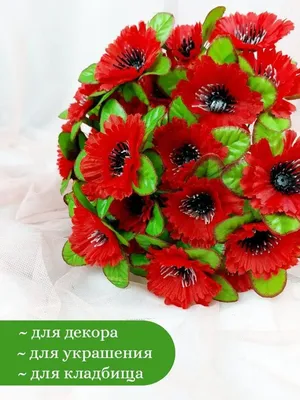 Маки и полевые цветы» картина Генералова Евгения маслом на холсте — купить  на ArtNow.ru