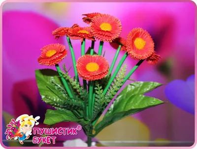 Цветы маргаритки многолетние (95 фото) - фото - картинки и рисунки: скачать  бесплатно