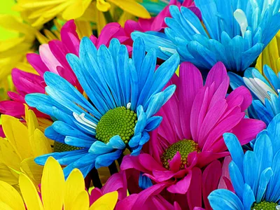 Искусственные цветы Маргаритки, 32 см - купить искусственные цветы для  декора
