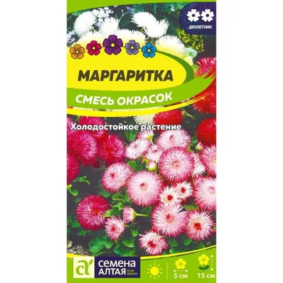 Маргаритка - цветок весны и любви — FloweryVale.ru