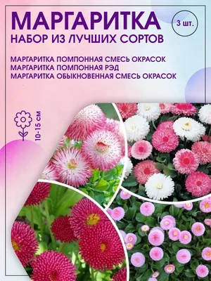 Букет цветов из шаров Маргаритки купить в Москве с доставкой: цена, фото,  описание | Артикул:A-005483
