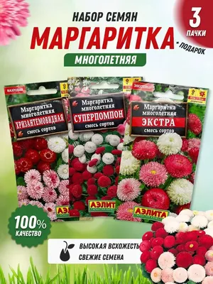 Мир декора Искусственные цветы маргаритки