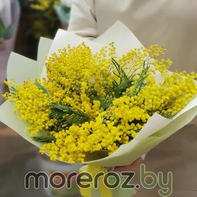 Мимоза в коробке | Мимоза, Цветы, Букет из тюльпанов
