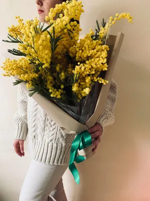 Купить Искусственные цветы Мимоза /Искусственные цветы для декора/Декор для  дома по выгодной цене в интернет-магазине OZON.ru (168273824)