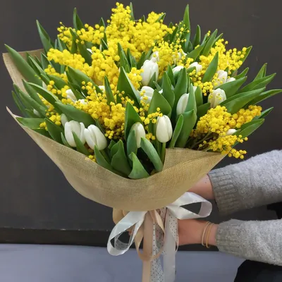 Итальянская мимоза 🌺 от интернет-магазина Цветы для Вас, купить, доставка