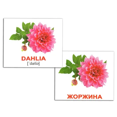 Цветы в коробке \"Английский сад\" в Москве - Купить с доставкой от 2890 руб.  | Интернет-магазин «Люблю цветы»