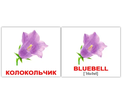 Букет из лилий и роз «Английский сад» - интернет-магазин «Funburg.ru»