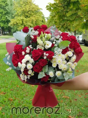 Roses are red, violets are blue: как называются разные цветы на английском  - Skyeng Magazine