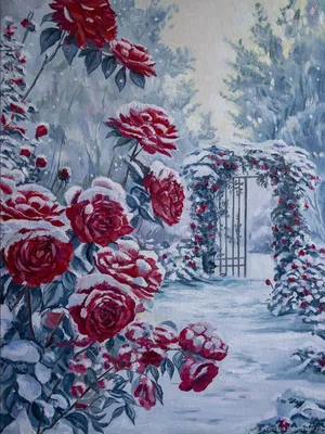 фото :: розы :: снег :: фотошоп 80 лвл - JoyReactor