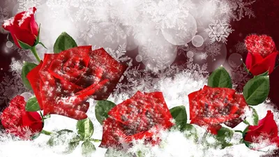 Снежные цветы - Заповедник «Нургуш»