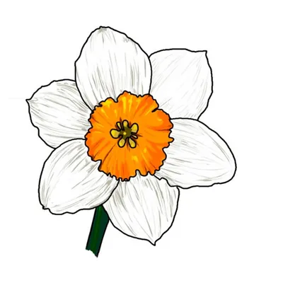 Нарисованные цветы: обои с цветами, картинки, фото 1600x1200