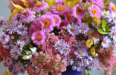 Фотообои Цветы осень u96635 купить в Украине | Интернет-магазин Walldeco.ua