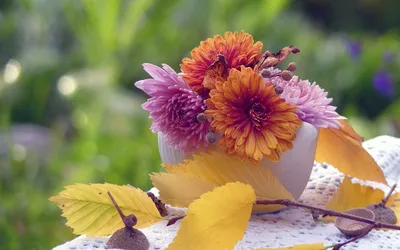 Пин от пользователя Irixflowers цветы и мода на доске Настроение осень в  2023 г | Осень