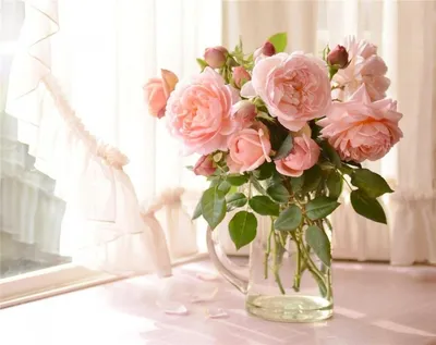 Скачать 938x1668 цветы, розы, композиция, красный, розовый обои, картинки  iphone 8/7/6s/6 for parallax