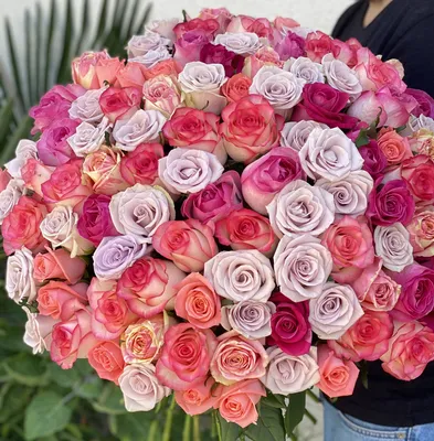 Обои на рабочий стол Розовые розы и мелкие белые цветы, обои для рабочего  стола, скачать обои, обои бесплатно