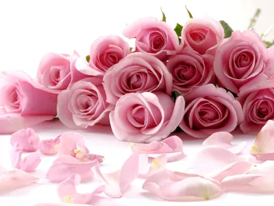 Букет из 101 красной розы \"Микс\" купить в Курске | заказать живые цветы с  доставкой на дом или самовывоз