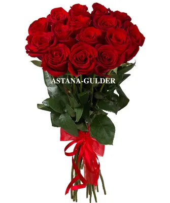 Красные розы в упаковке 31 шт. Сиреневый- цветочный магазин