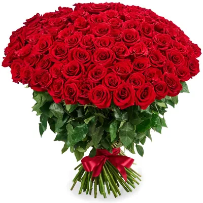 101 роза \"Belle Rose\". Букет из 101 розы 40 см. Купить цветы