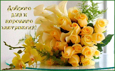 Розы! Картинки с добрым утром и хорошего настроения, картинки доброе утро  хорошего настроения и дня! | Желтая роза, Цветок, Красивые цветы