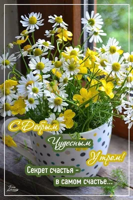 Заказать корзина цветов с добрым утром FL-633 купить - хорошая цена на  корзина цветов с добрым утром с доставкой - FLORAN.com.ua