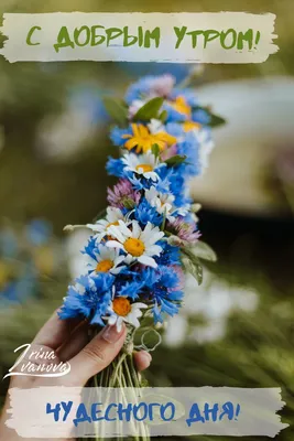 Картинка с цветами, кофе и пожеланием доброго утра — Скачайте на Davno.ru