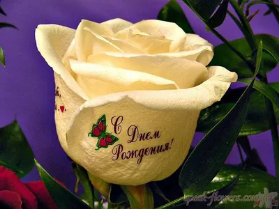 Букет с надписью и тюльпанами XL купить в интернет-магазине