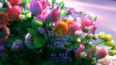 Фиолетовые полевые цветы - широкоформатные обои и большие картинки, тема -  цветы.