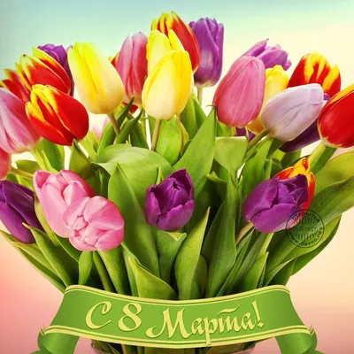 Тюльпаны на 8 марта, какой букет выбрать в Перми?