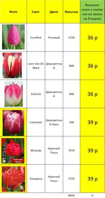 Советы по выбору цветов на 8 Марта