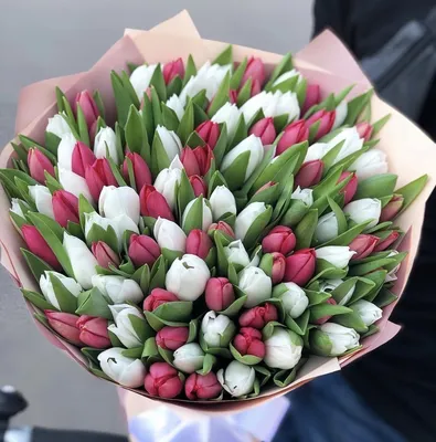 Купить тюльпаны цена за штуку в Екатеринбурге – тюльпаны поштучно.