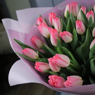 Букет лиловых тюльпанов | доставка по Москве и области