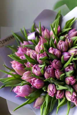 Что означают тюльпаны на языке цветов