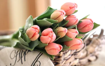 51 тюльпан | купить недорого | доставка по Москве и области