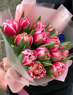 Розовые тюльпаны поштучно от 34 руб./шт. Купить цветы.