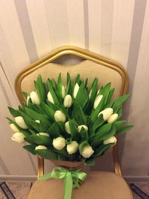 Букет 25 белых тюльпанов - Доставкой цветов в Москве! 41478 товаров! Цены  от 487 руб. Цветы Тут