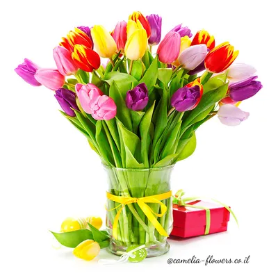Тюльпаны махровые купить Dakota flora | Букет тюльпанов | Доставка цветов  по Москве