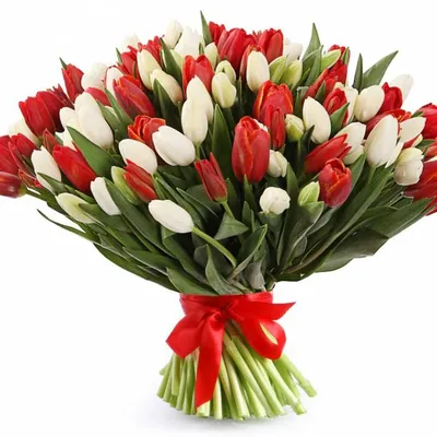 Цветы Тюльпаны- любое количество (Голландия) доставка Владивосток Цветочный  король доставка
