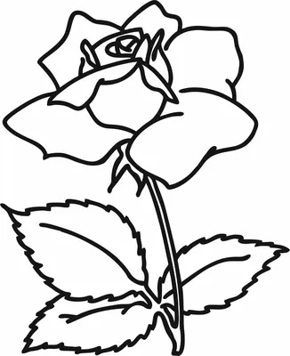 Трафарет «Цветок Лилия №1» -: формы для пряников, трафареты, скалки с  узором Lubimova.com