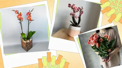Купить Искусственные цветы для декора в горшках / Комнатные декоративные  растения в горшке (кашпо) набор из 3 шт. / Зеленые по выгодной цене в  интернет-магазине OZON.ru (795274397)