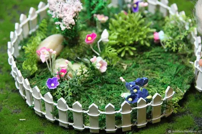 Фотозарисовки: цветы в мамином палисаднике