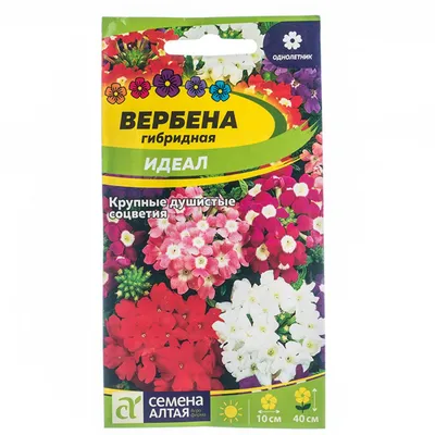 Вербена гибридная Кварц ХР Скарлет Verbena hybrida Quartz XP Scarlet -  купить семена цветов с доставкой по Украине в магазине Добродар