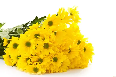 Желтые цветы: что означают, кому можно дарить | Полезные статьи от  Julia-Flower