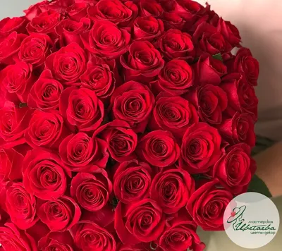 Какие цветы подарить жене на 14 февраля | Семицветик | Дзен